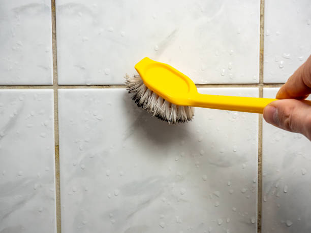Best Mold Remediation  in Draper, UT