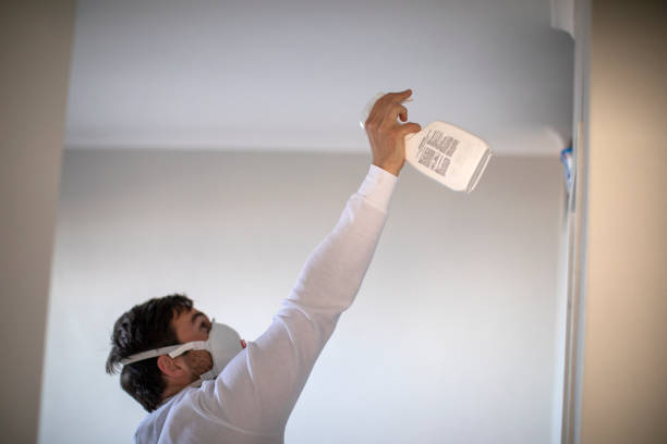 Best Black Mold Removal  in Draper, UT