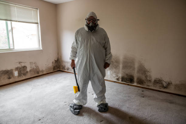 Best Professional Mold Removal  in Draper, UT
